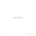 RAS-N251DRH-W&nbsp;[取寄商品][※関東甲信・北陸中部・関西・東北のみ送料無料&nbsp;その他地域は下記表参照][配送ID:壁掛エアコン大型]